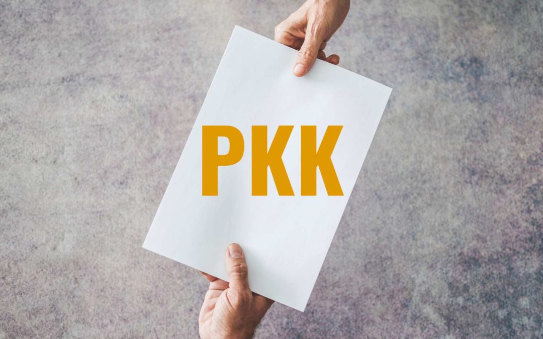 Nr PKK Profil Kandydata na Kierowcę
